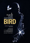 Bird Poster