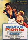 Picnic Poster